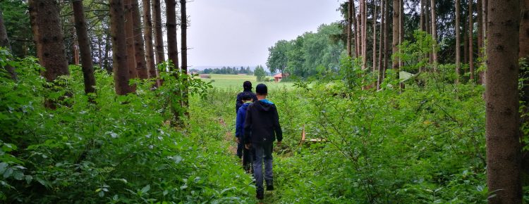 Survival Tag 2017